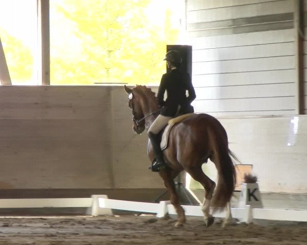Reitturnier Urtenen-Schönbühl 2022