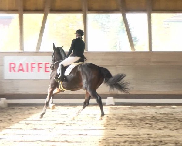 Reitturnier Urtenen-Schönbühl 2022