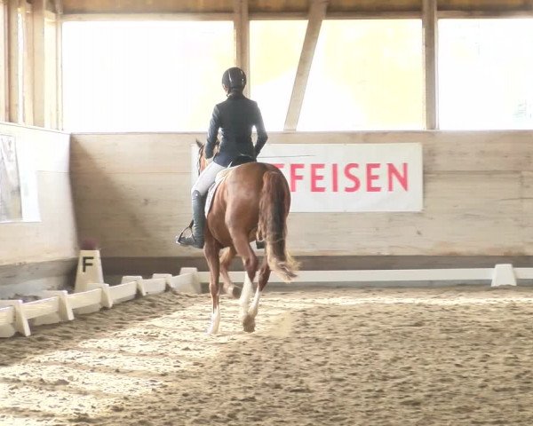 Reitturnier Urtenen-Schönbühl 2022