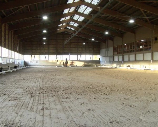 Reitturnier Urtenen-Schönbühl 2022