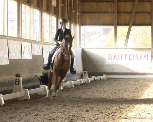Reitturnier Urtenen-Schönbühl 2022