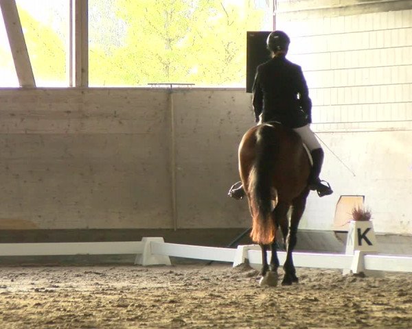 Reitturnier Urtenen-Schönbühl 2022