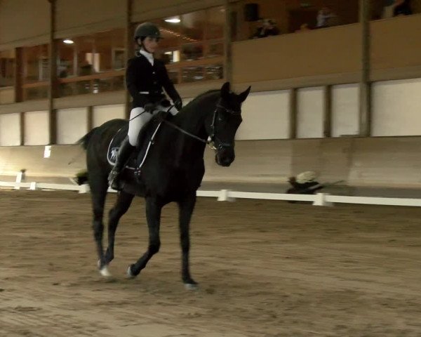 Reitturnier Urtenen-Schönbühl 2022
