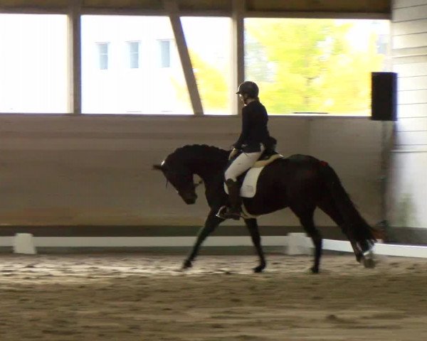 Reitturnier Urtenen-Schönbühl 2022
