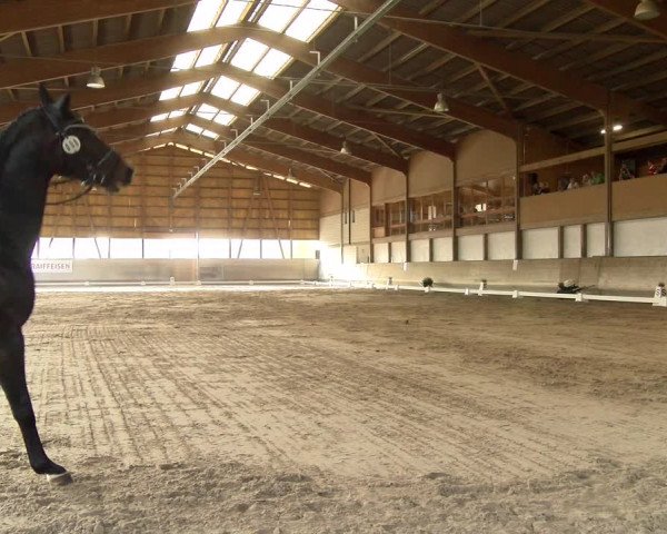 Reitturnier Urtenen-Schönbühl 2022