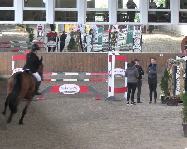 Reitturnier Freudenberg 2022