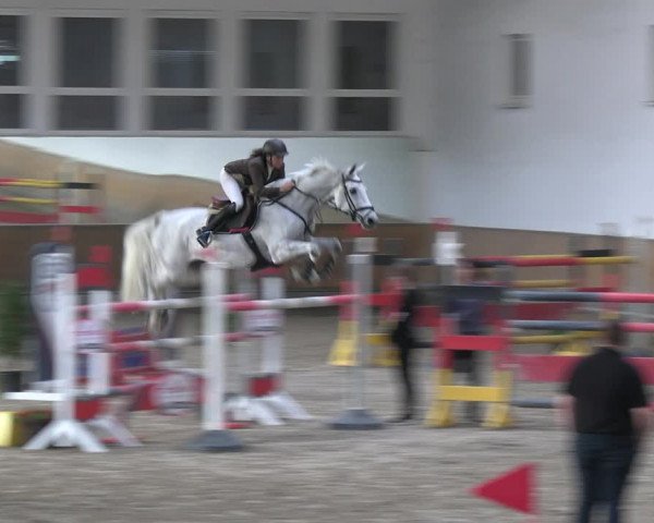 Reitturnier Freudenberg 2022