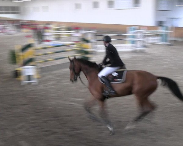 Reitturnier Freudenberg 2022