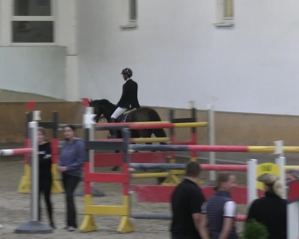 Reitturnier Freudenberg 2022