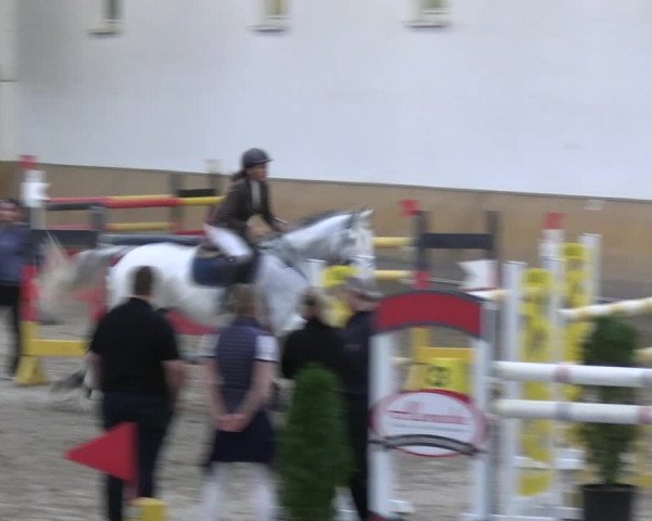 Reitturnier Freudenberg 2022