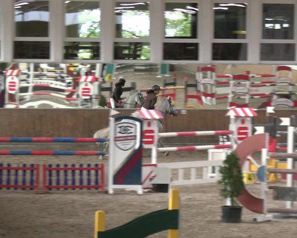 Reitturnier Freudenberg 2022