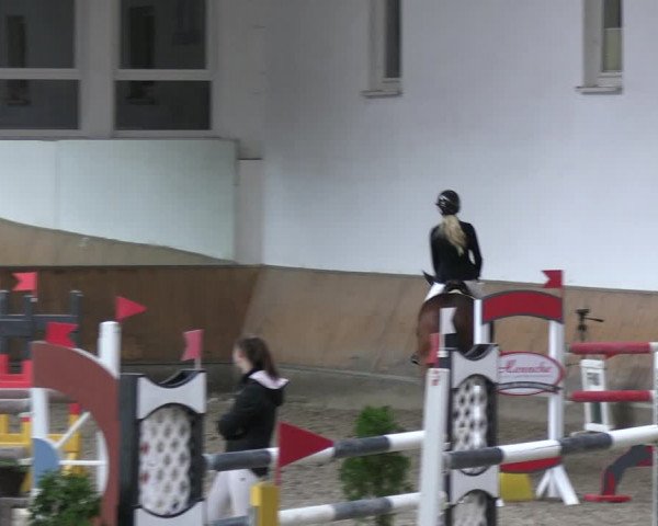 Reitturnier Freudenberg 2022