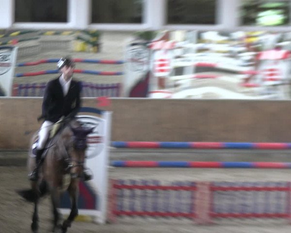 Reitturnier Freudenberg 2022