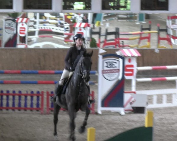 Reitturnier Freudenberg 2022