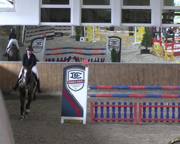 Reitturnier Freudenberg 2022