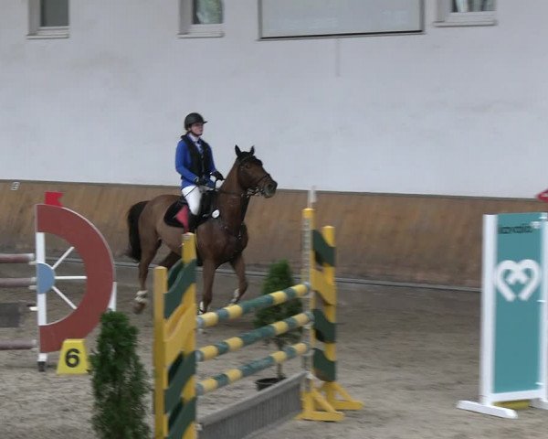 Reitturnier Freudenberg 2022