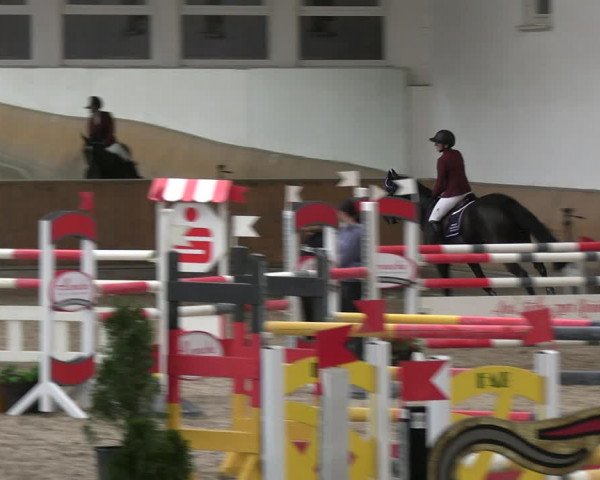 Reitturnier Freudenberg 2022