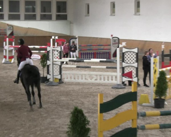 Reitturnier Freudenberg 2022