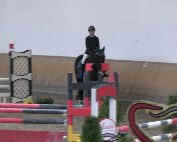 Reitturnier Freudenberg 2022