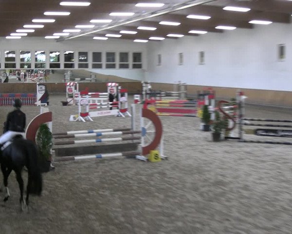 Reitturnier Freudenberg 2022