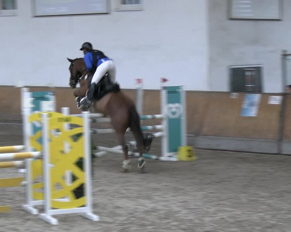 Reitturnier Freudenberg 2022