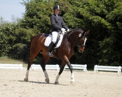 dressage horse Playgirl 16 (Westphalian, 1998, from Power)