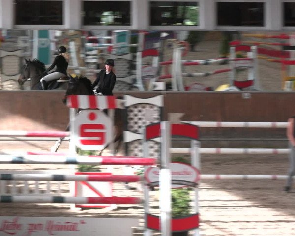 Reitturnier Freudenberg 2022
