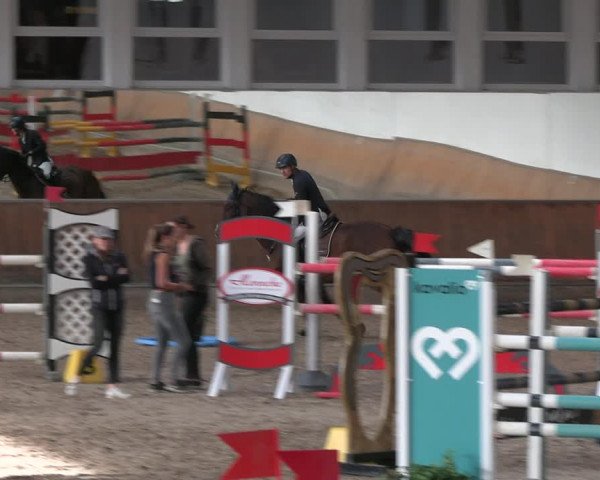 Reitturnier Freudenberg 2022