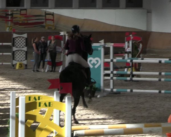 Reitturnier Freudenberg 2022