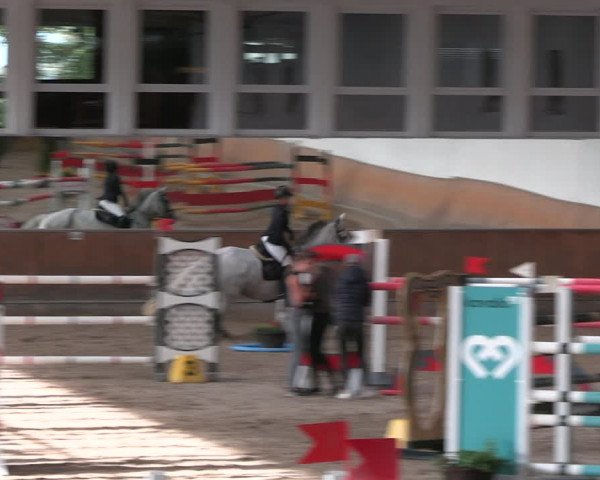 Reitturnier Freudenberg 2022