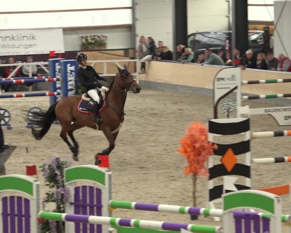 Reitturnier Borken 2022