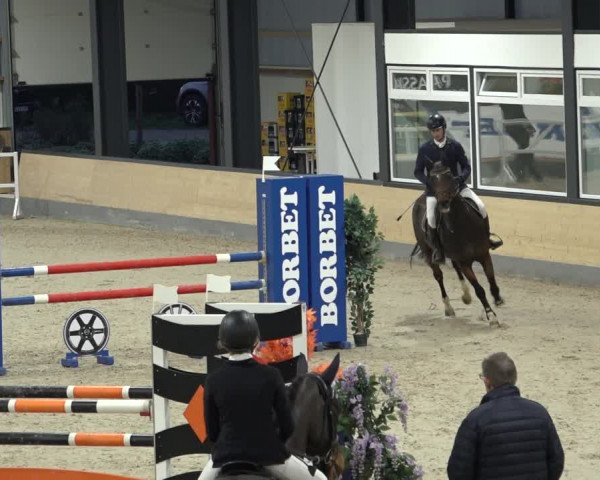 Reitturnier Borken 2022