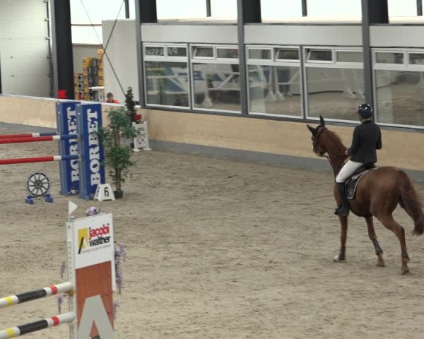 Reitturnier Borken 2022
