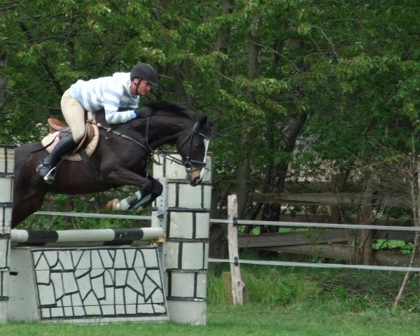horse Canito xx (Thoroughbred, 2000, from Dictator's Song xx)