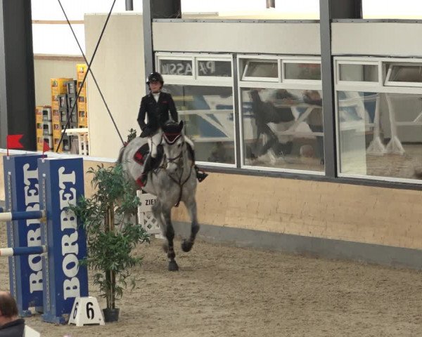 Reitturnier Borken 2022
