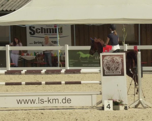 Springturnier Memmingen 2021