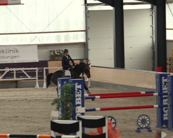 Reitturnier Borken 2022