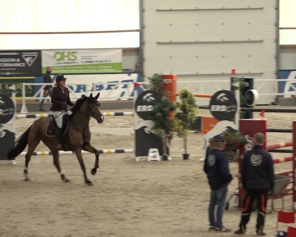 Reitturnier Borken 2022