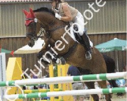 jumper Redness (Hessian Warmblood, 1997, from Raphael)