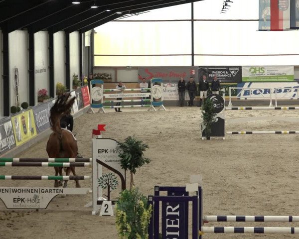 Reitturnier Borken 2022