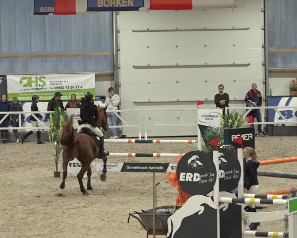 Reitturnier Borken 2022