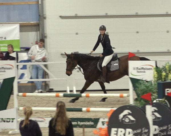 Reitturnier Borken 2022