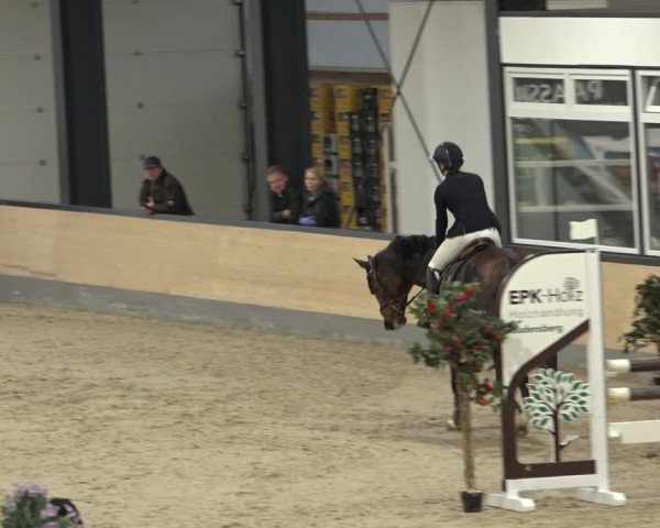 Reitturnier Borken 2022