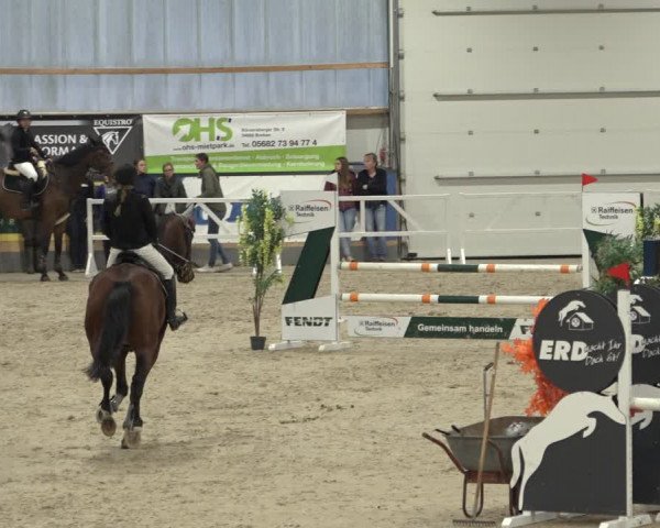 Reitturnier Borken 2022