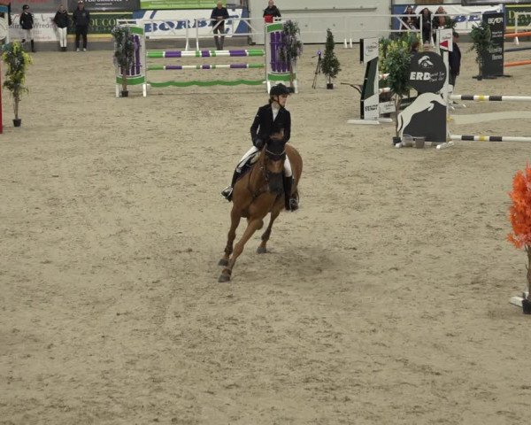 Reitturnier Borken 2022