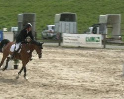 Zuchtstute Alize 4 (Westfale, 2000, von Argentinus)