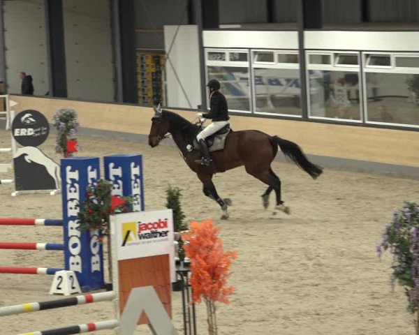 Reitturnier Borken 2022