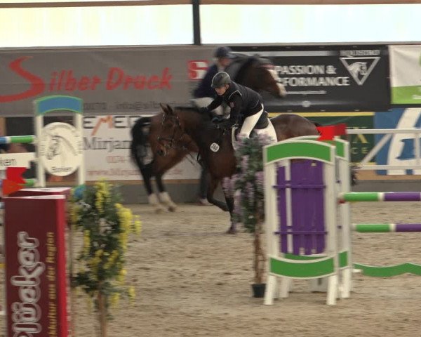 Reitturnier Borken 2022