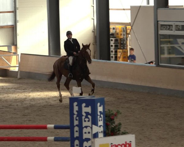 Reitturnier Borken 2022