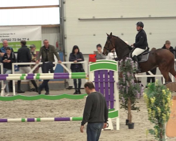 Reitturnier Borken 2022